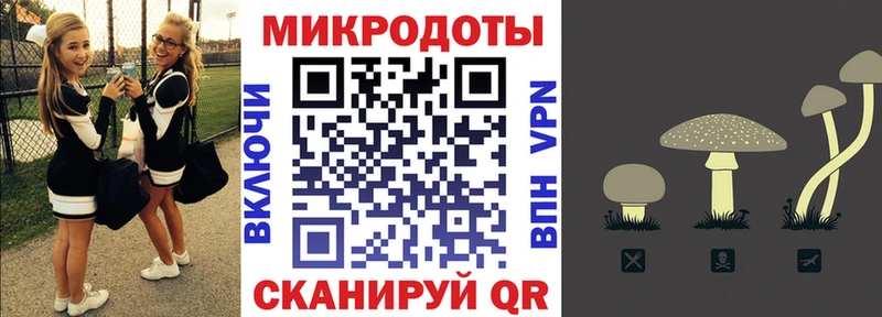 Купить закладки  Моздок  Галлюциногенные грибы Psilocybe 